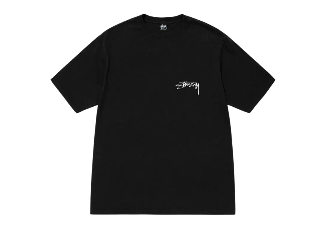 Image of Stussy Arachnid Pigment-Dyed Tee 